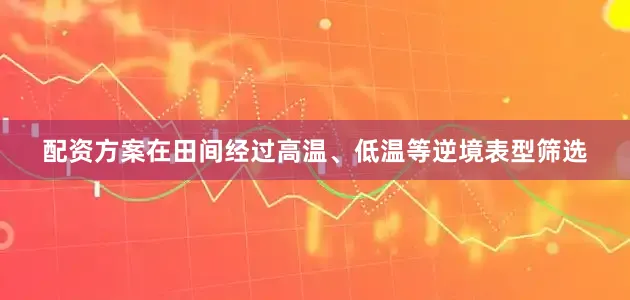 配资方案在田间经过高温、低温等逆境表型筛选
