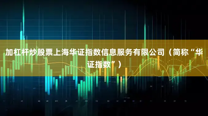 加杠杆炒股票上海华证指数信息服务有限公司（简称“华证指数”）