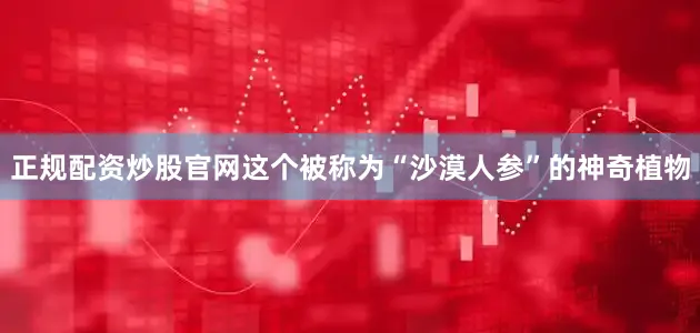正规配资炒股官网这个被称为“沙漠人参”的神奇植物