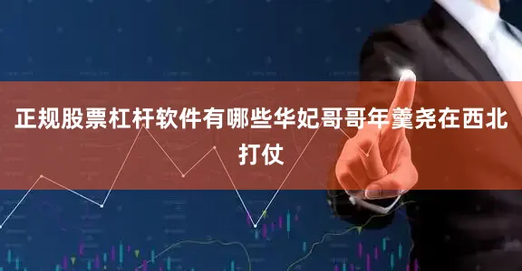 正规股票杠杆软件有哪些华妃哥哥年羹尧在西北打仗