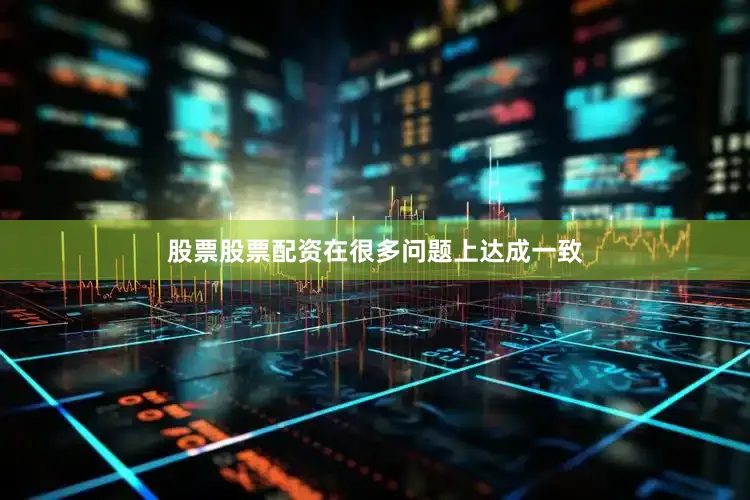 股票股票配资在很多问题上达成一致